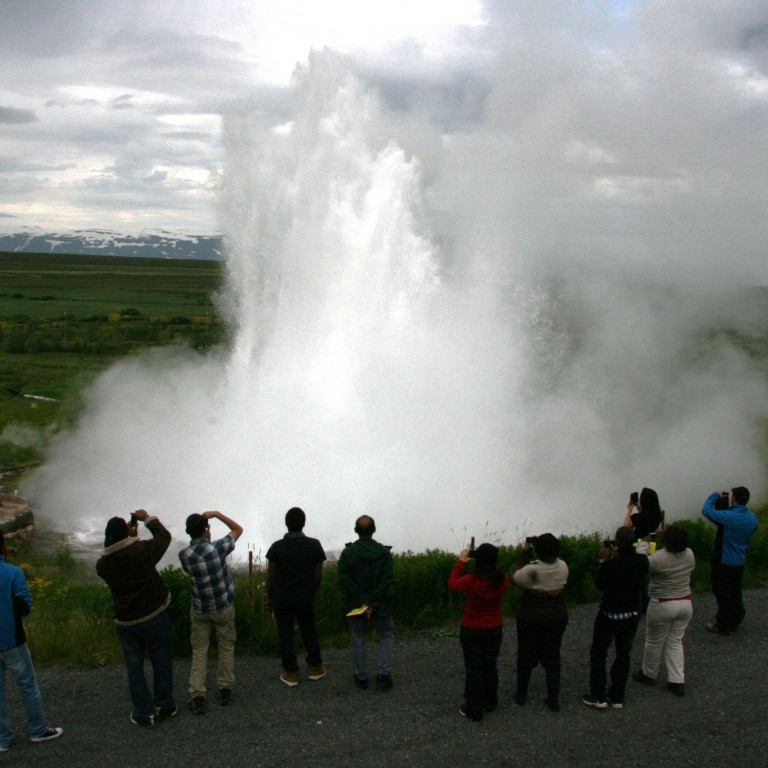 Gos í Yztahver sumar 2013